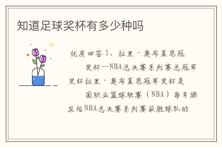 知道足球奖杯有多少种吗