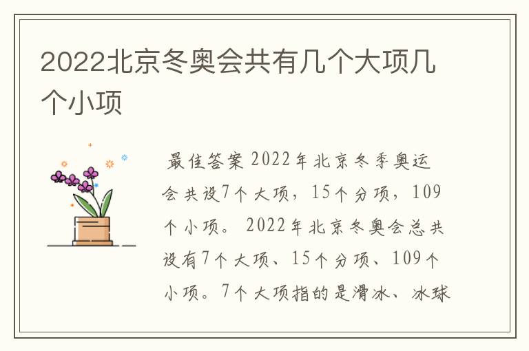 2022北京冬奥会共有几个大项几个小项