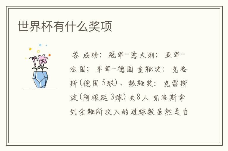 世界杯有什么奖项