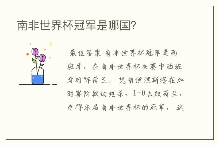南非世界杯冠军是哪国?