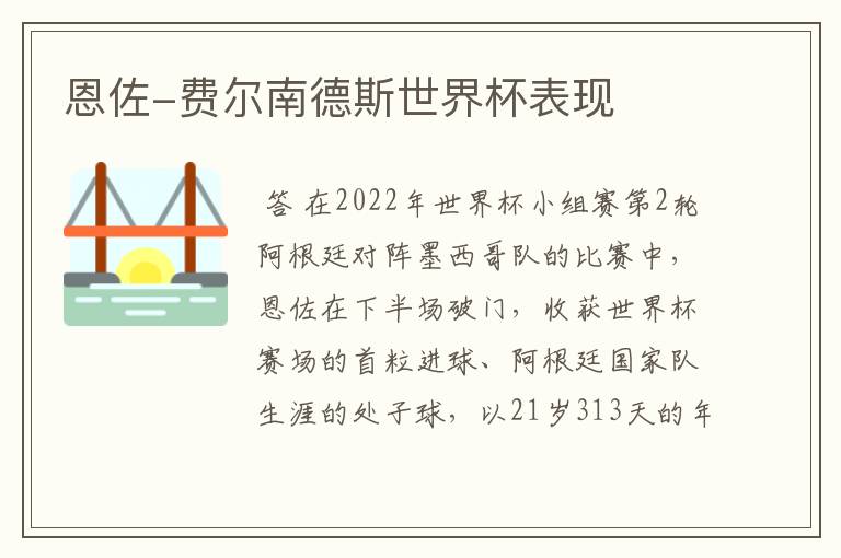 恩佐-费尔南德斯世界杯表现