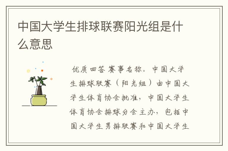中国大学生排球联赛阳光组是什么意思