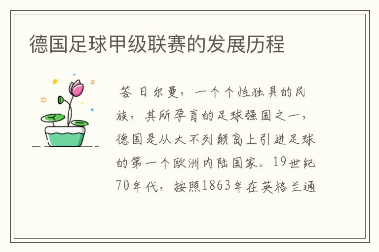 德国足球甲级联赛的发展历程
