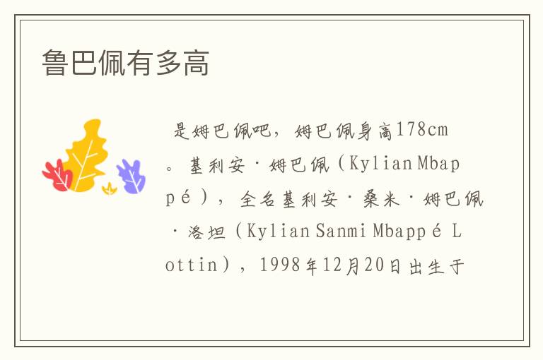 鲁巴佩有多高