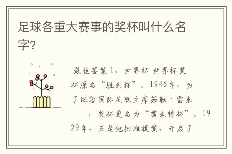 足球各重大赛事的奖杯叫什么名字?