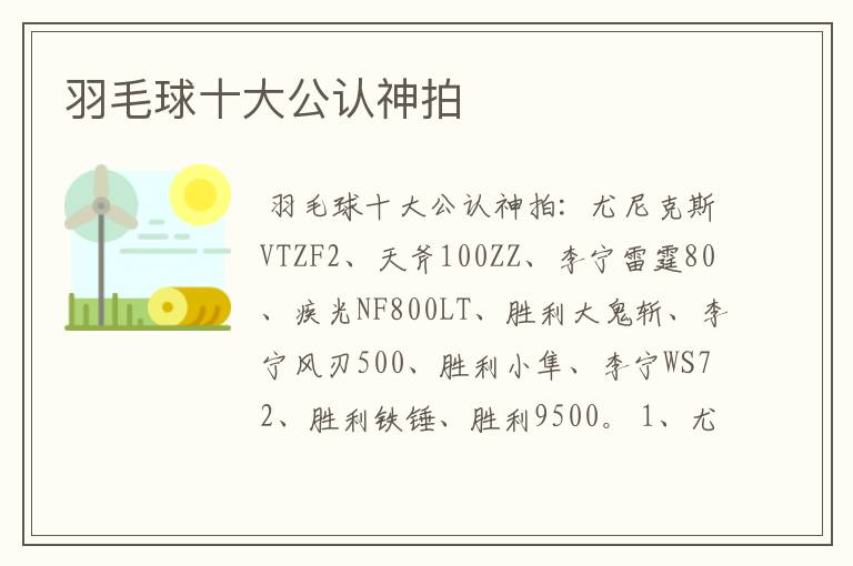 羽毛球十大公认神拍