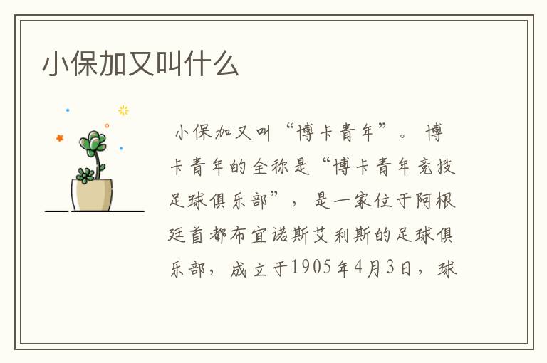 小保加又叫什么