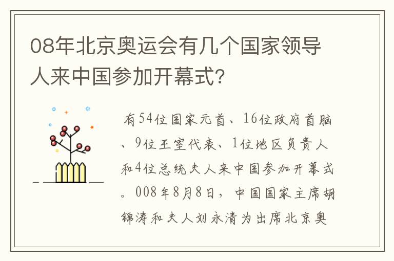 08年北京奥运会有几个国家领导人来中国参加开幕式?