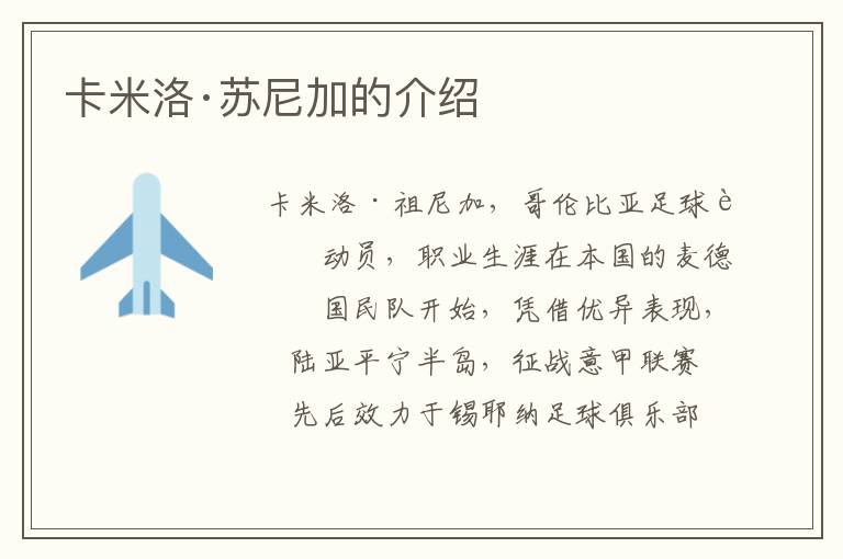 卡米洛·苏尼加的介绍