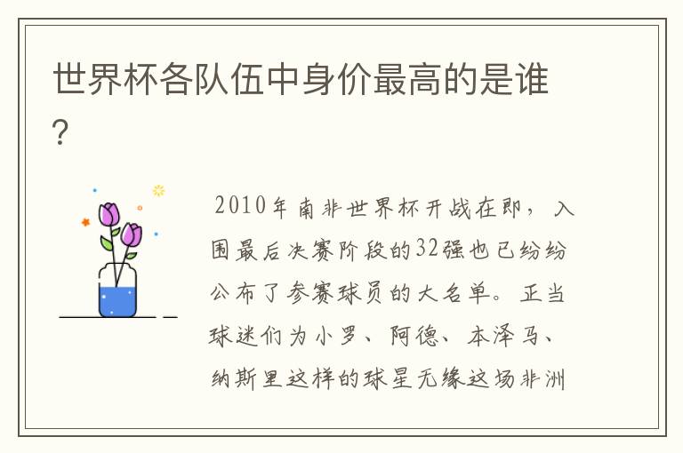 世界杯各队伍中身价最高的是谁？