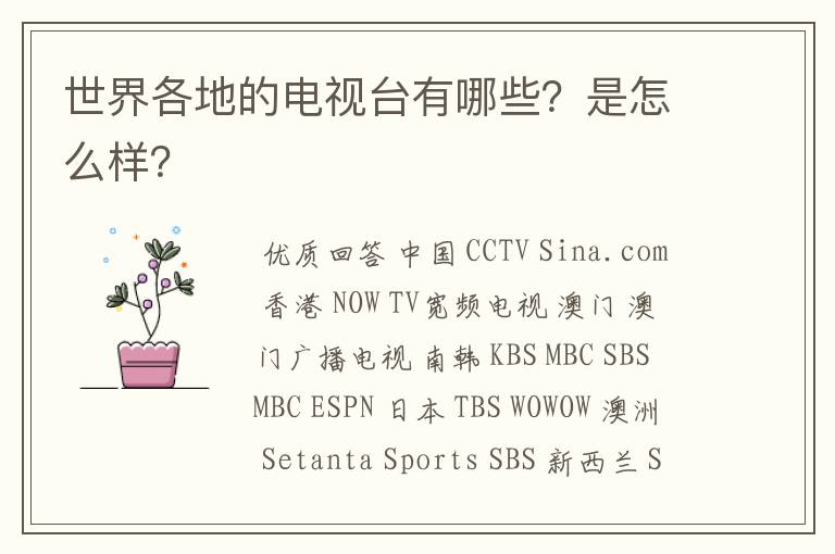 世界各地的电视台有哪些？是怎么样？