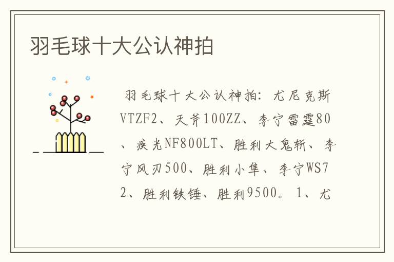 羽毛球十大公认神拍