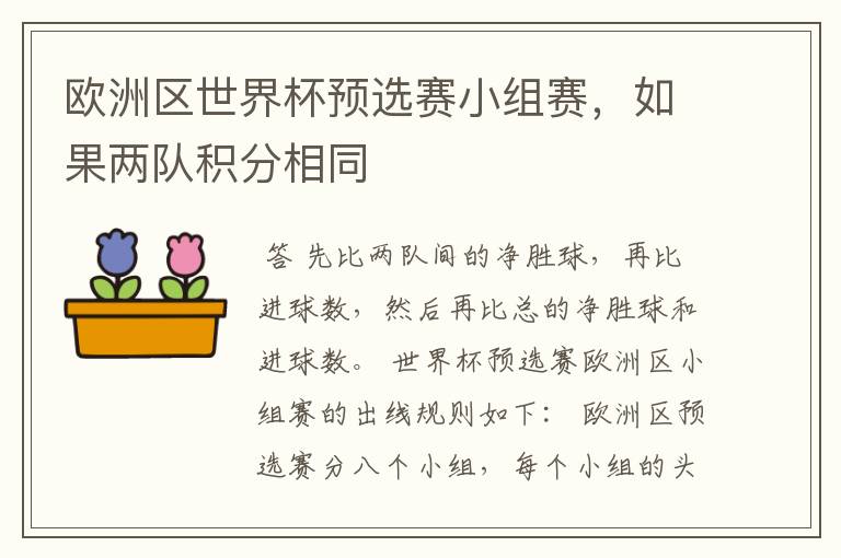 欧洲区世界杯预选赛小组赛,如果两队积分相同
