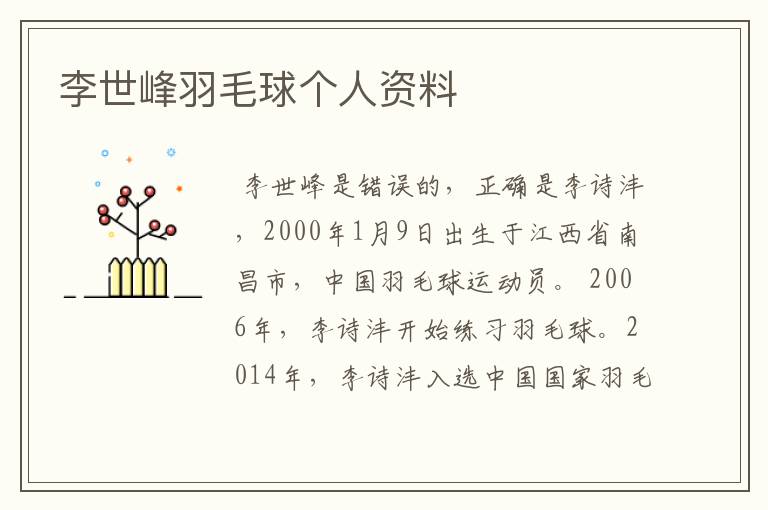 李世峰羽毛球个人资料