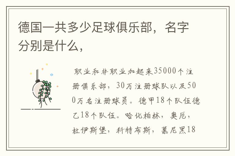 德国一共多少足球俱乐部，名字分别是什么，